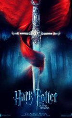 Harry Potter ve Ölüm Yadigarları Bölüm 2 – Harry Potter and the Deathly Hallows: Part 2 izle