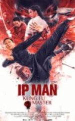 Ip Man: Kung Fu Master izle