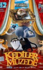 Kediler Müzede izle